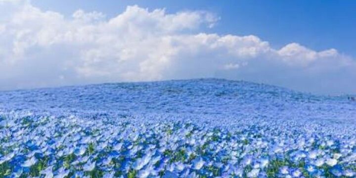 鈴木 佐知 banner