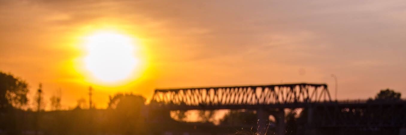 msroxi_'s profile banner image