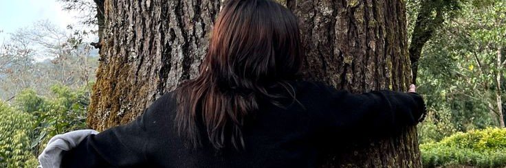 yupitsyel's profile banner image