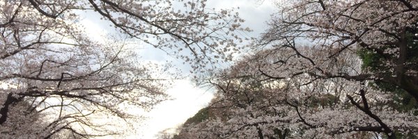 artablihas Profile Banner