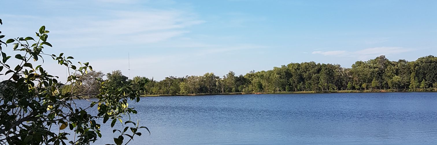 finefinenotfaifai banner