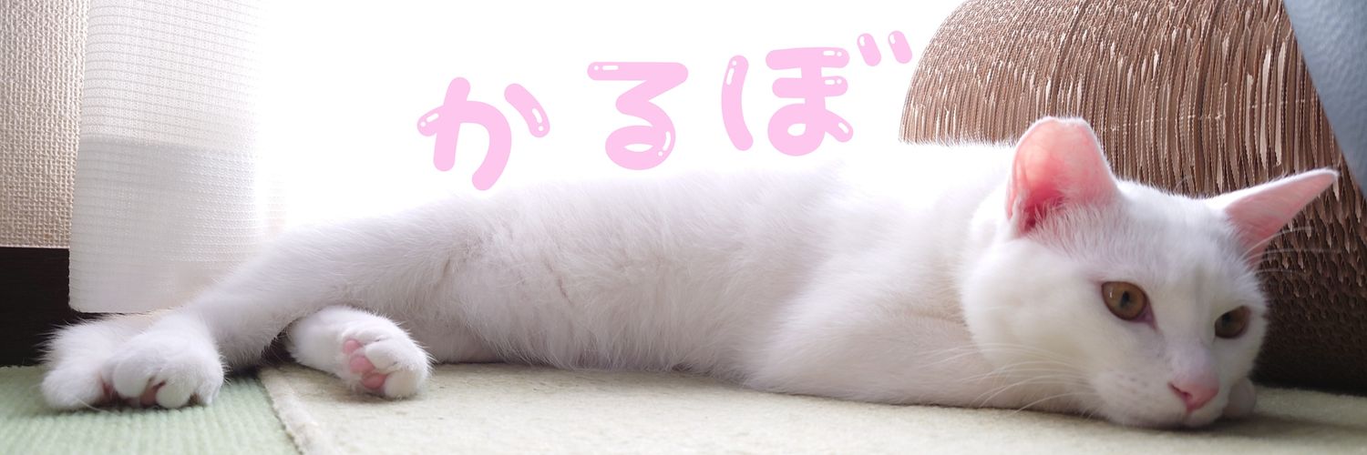 y_chieyo's profile banner image