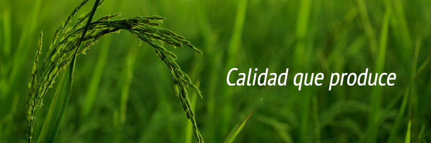 abodomrd's profile banner image