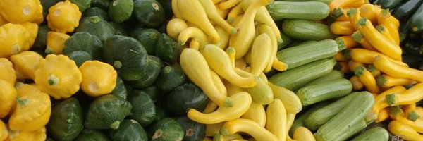 PioneerFoodSys Profile Banner