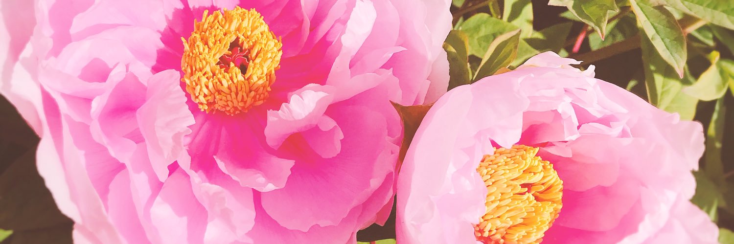 nnnonameGame's profile banner image