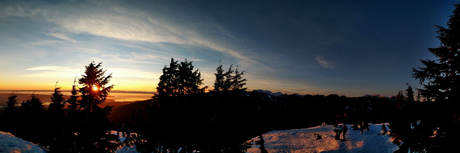 rachcarrier's profile banner image