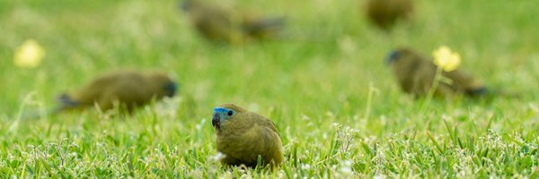 _erikaroper Profile Banner