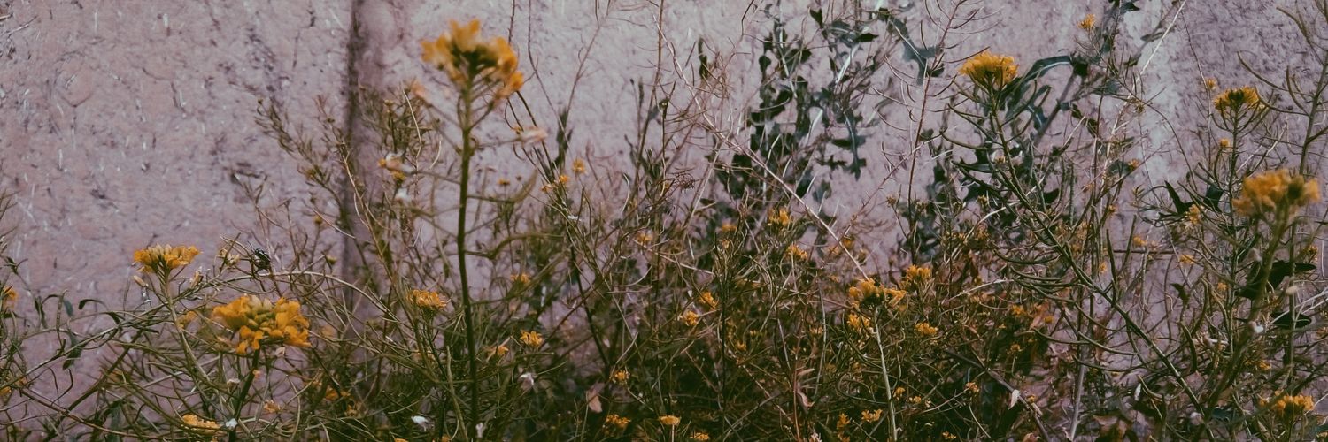 myaaauu's profile banner image