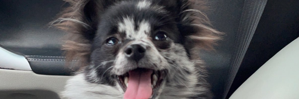 etivory_'s profile banner image