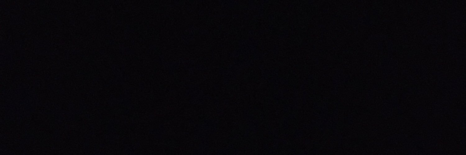 shrlmnla's profile banner image