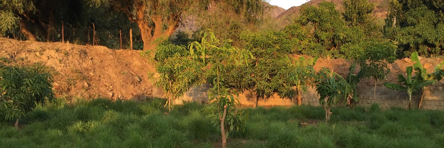 أ. د. سعيد بن كردم banner