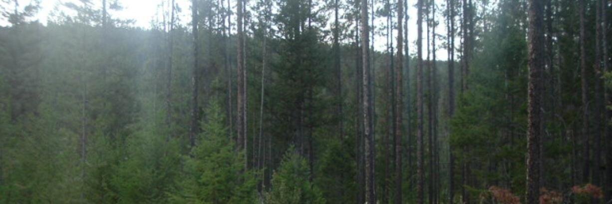 urbngreen's profile banner image