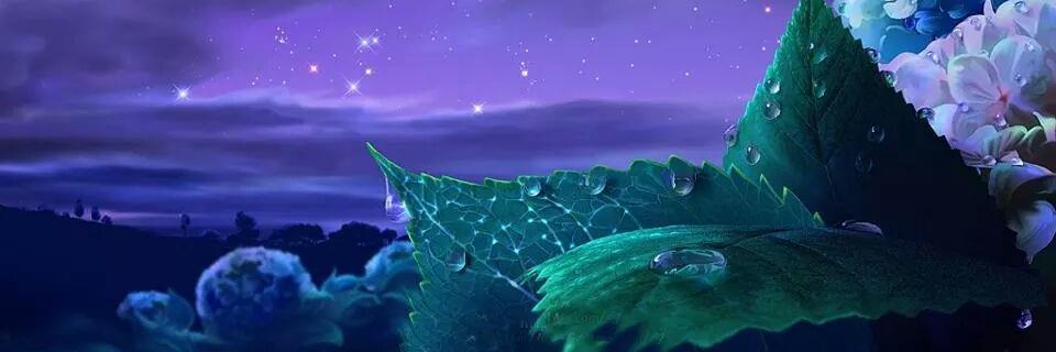 SureshShila's profile banner image