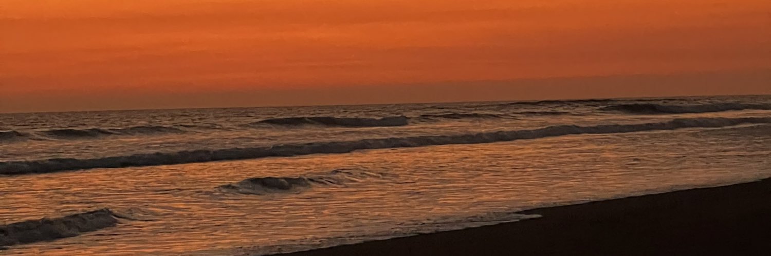 anapaupedraza's profile banner image