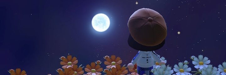 ちゃこ banner