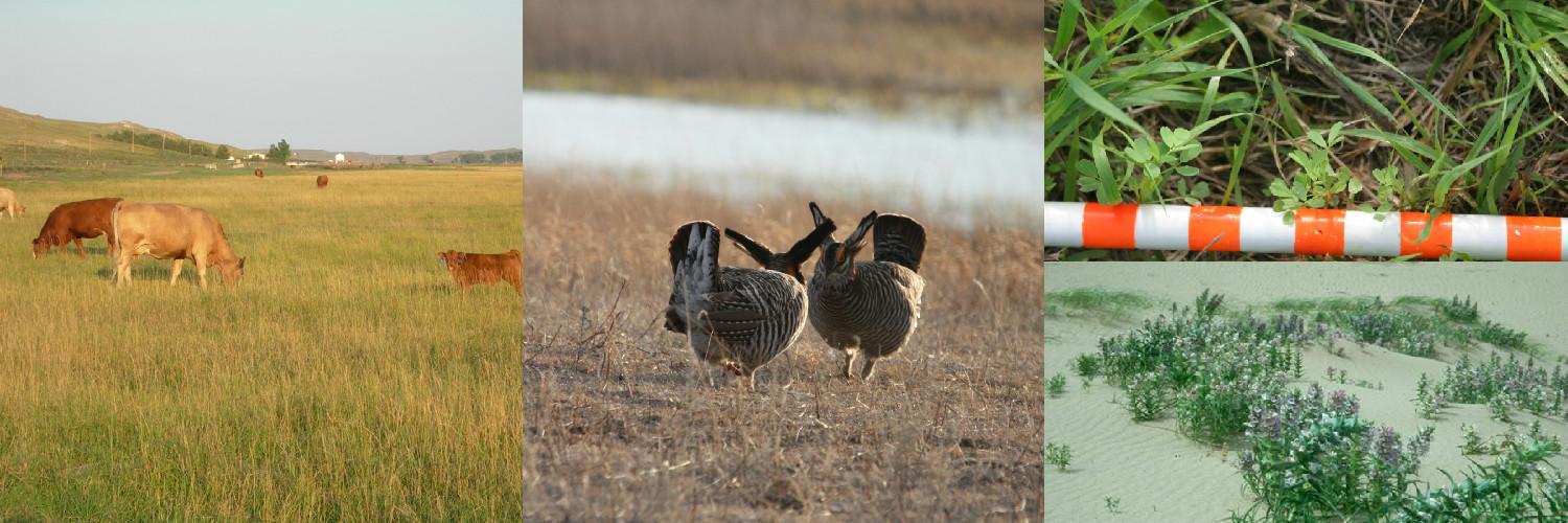 UNLRangeForage banner