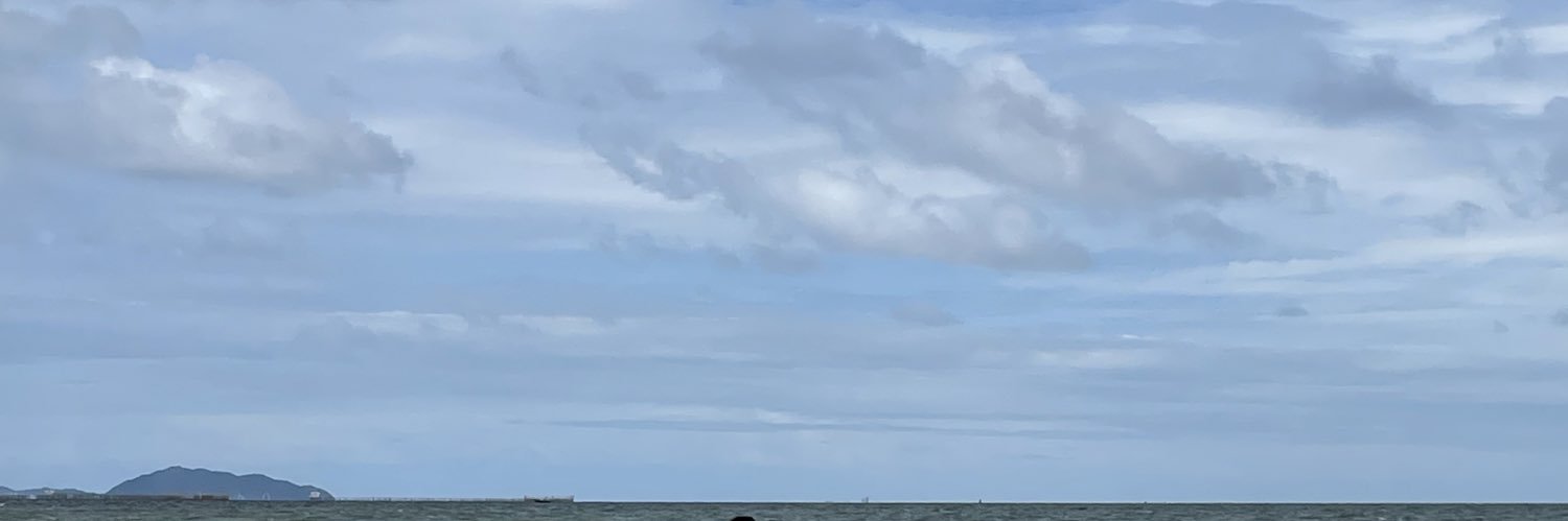 Ice_pmt's profile banner image