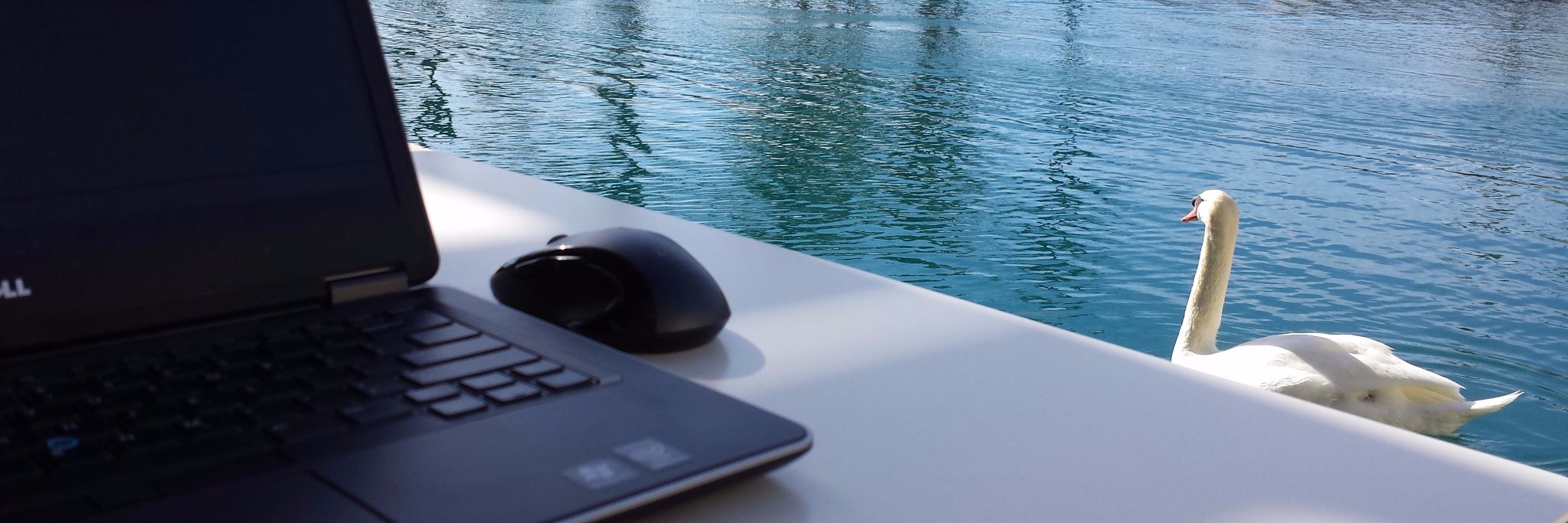 Mosheh Poltorak banner