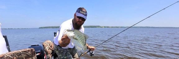 Fin Commander banner