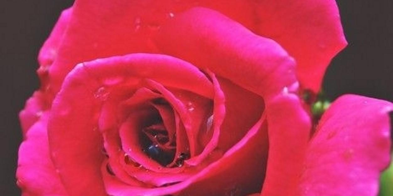 hasibraza10's profile banner image