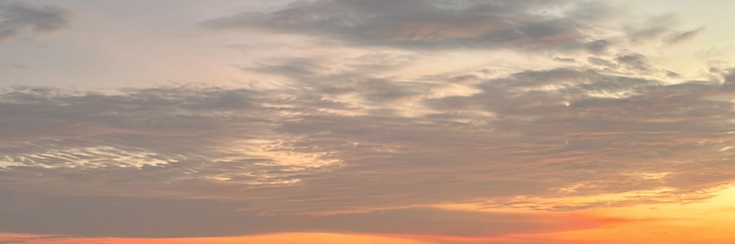 imhoneyguy's profile banner image