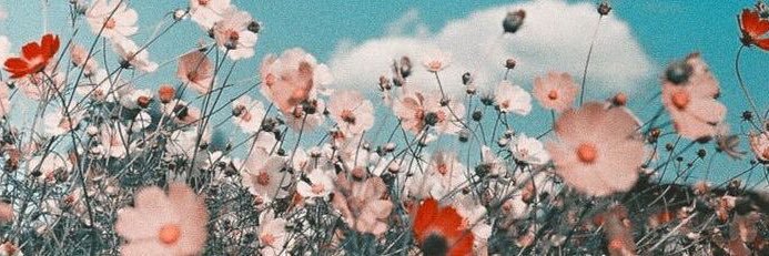 Ghadeer🦌’ banner