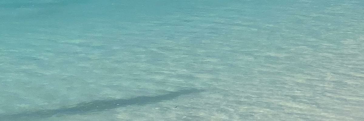 JT2forlife's profile banner image