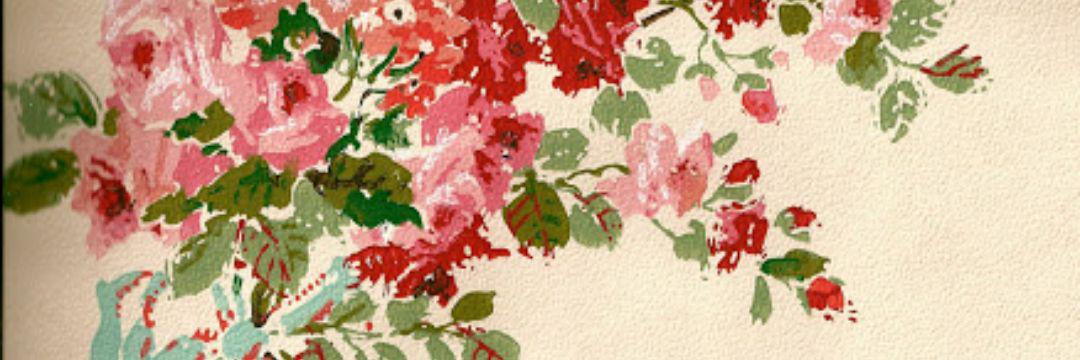 dr_luisa5's profile banner image