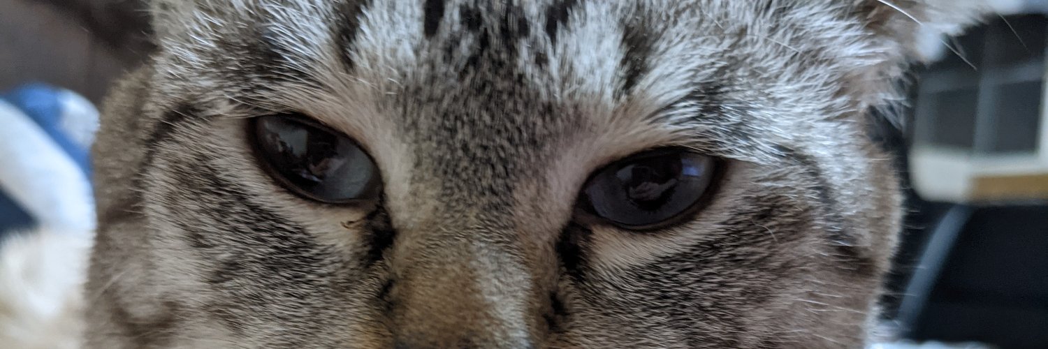 B8P7n's profile banner image