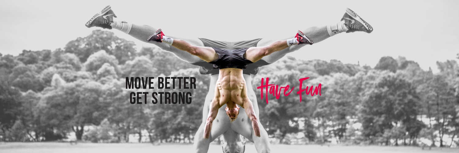 SchoolofCalisthenics banner