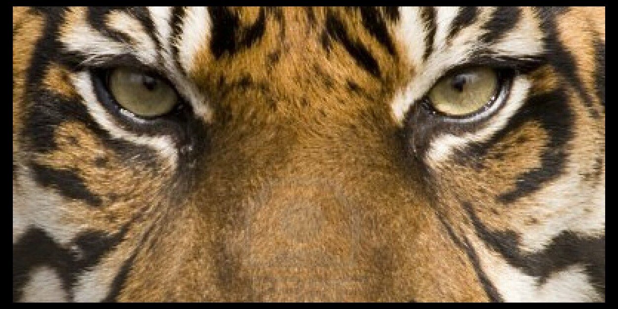 SunilRangra's profile banner image