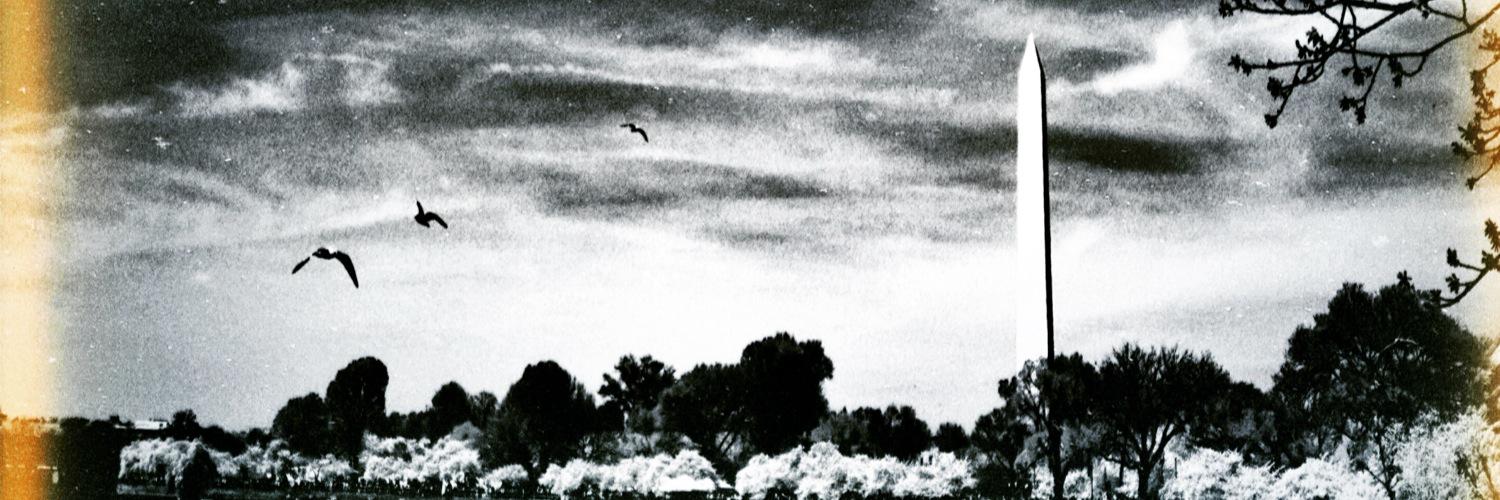 Beev_Meister's profile banner image