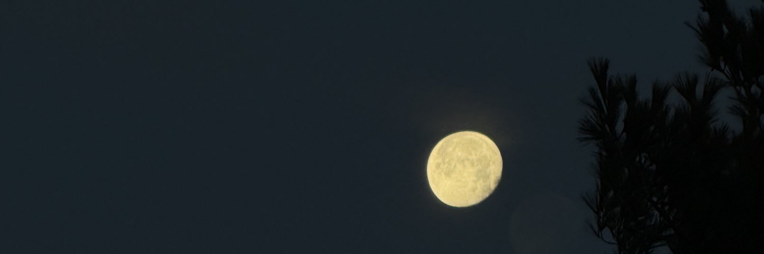 Tfluff_'s profile banner image