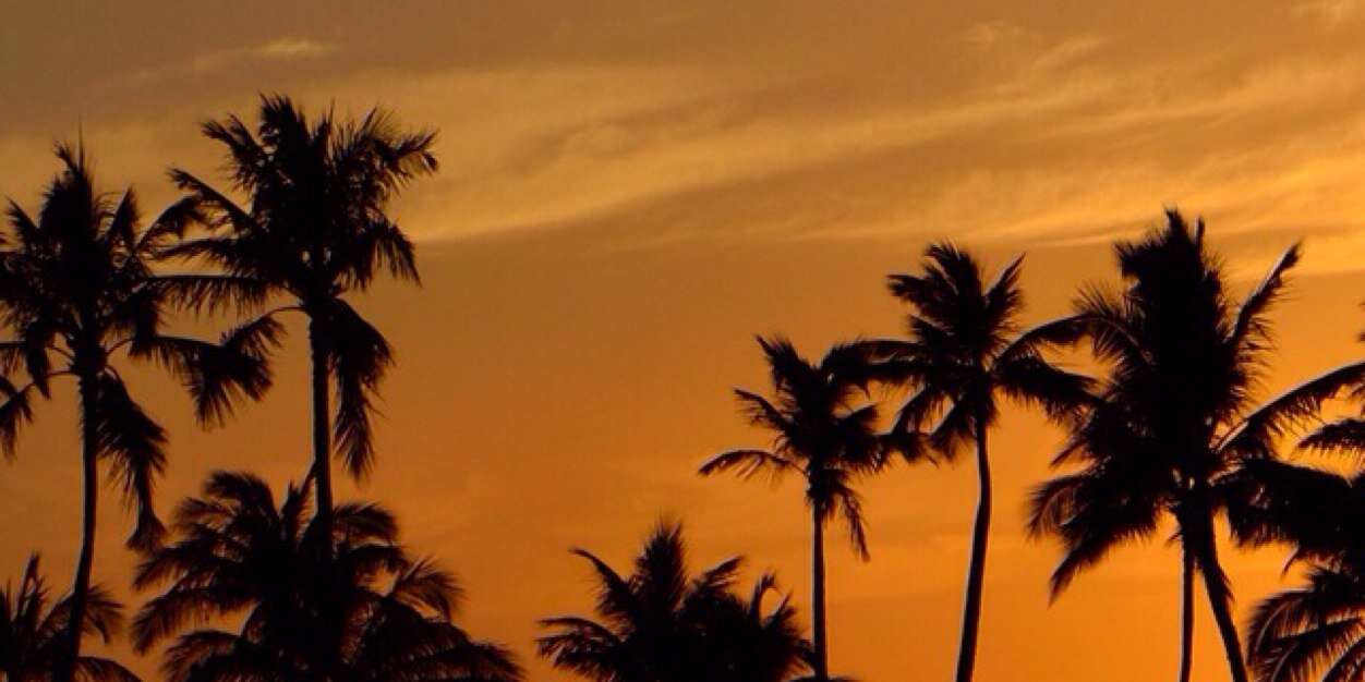 AlixNorum8's profile banner image