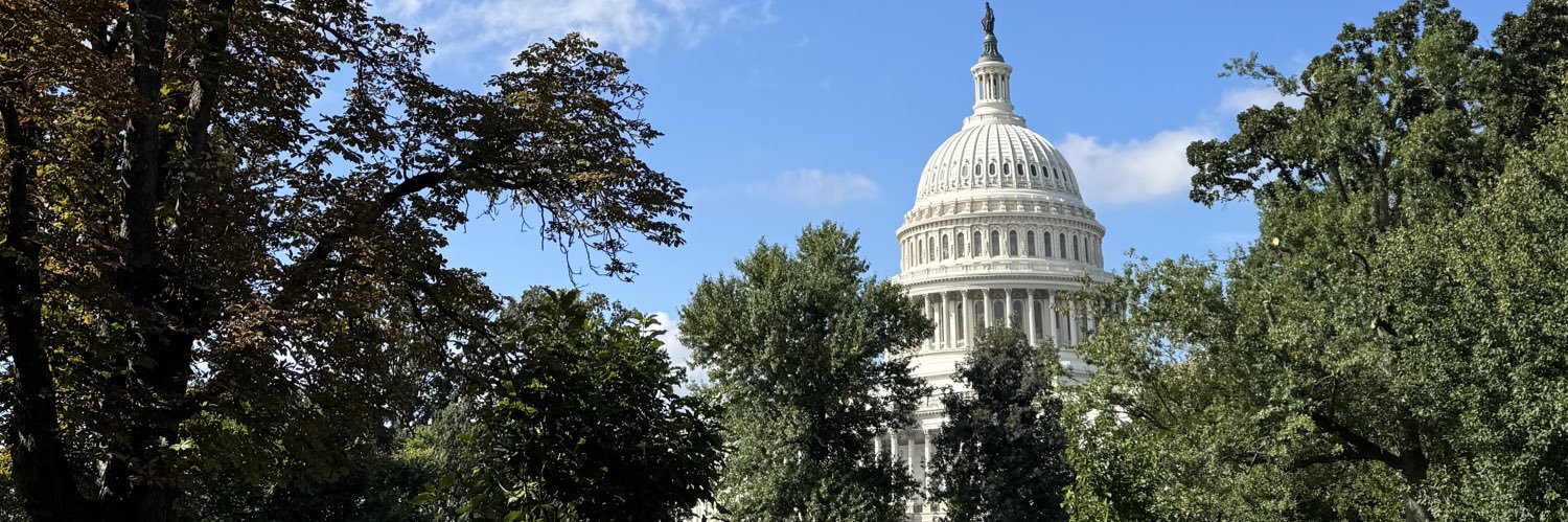 Paige Lindgren banner