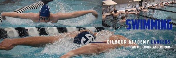 GALancerSwim Profile Banner