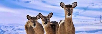 genialjh3's profile banner image