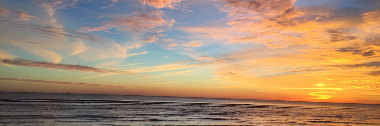 SonOfaBut's profile banner image