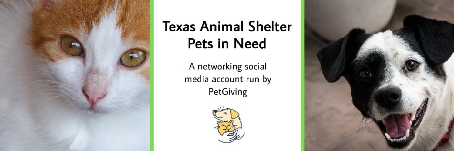 TXpetsinneed's profile banner image