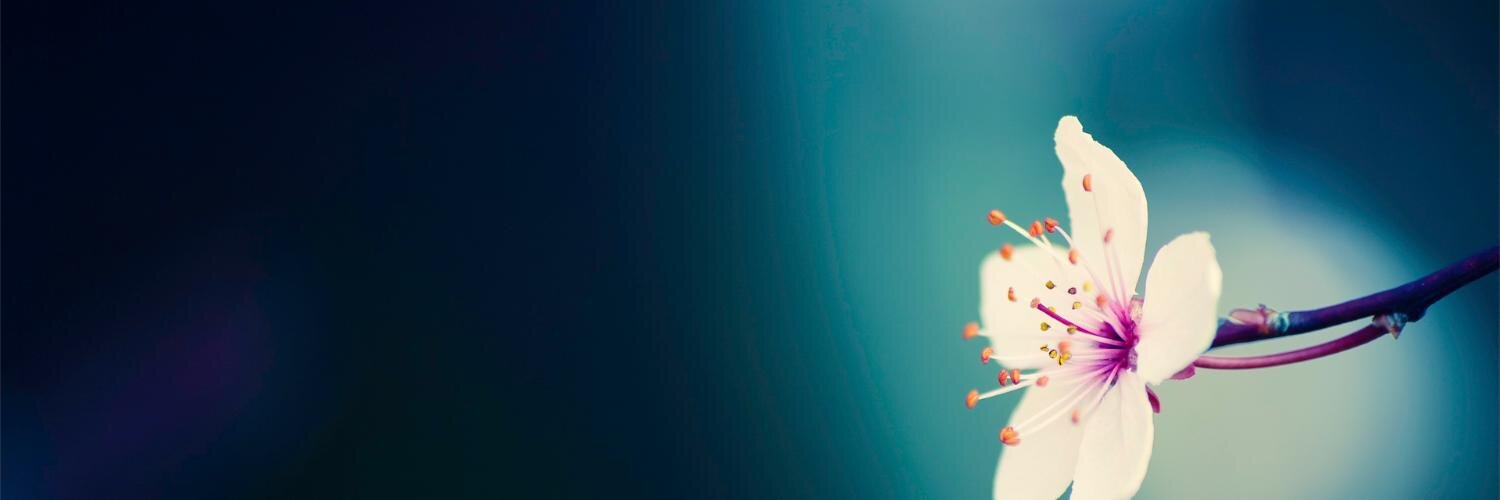 kri020's profile banner image