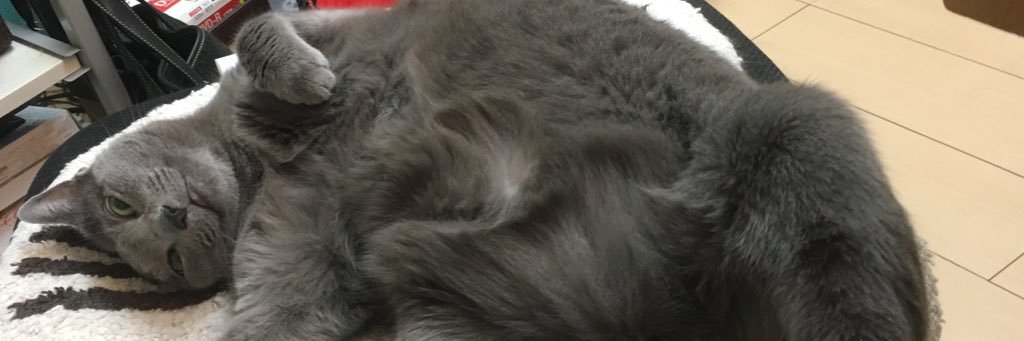 ロボ娘好き好きさん banner