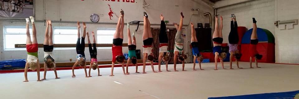 MHGymClub1's profile banner image