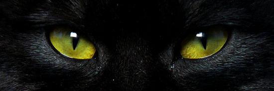 PipeDealer's profile banner image