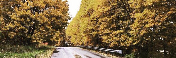 stephtick Profile Banner