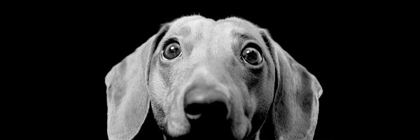 PhilipTuesday Profile Banner