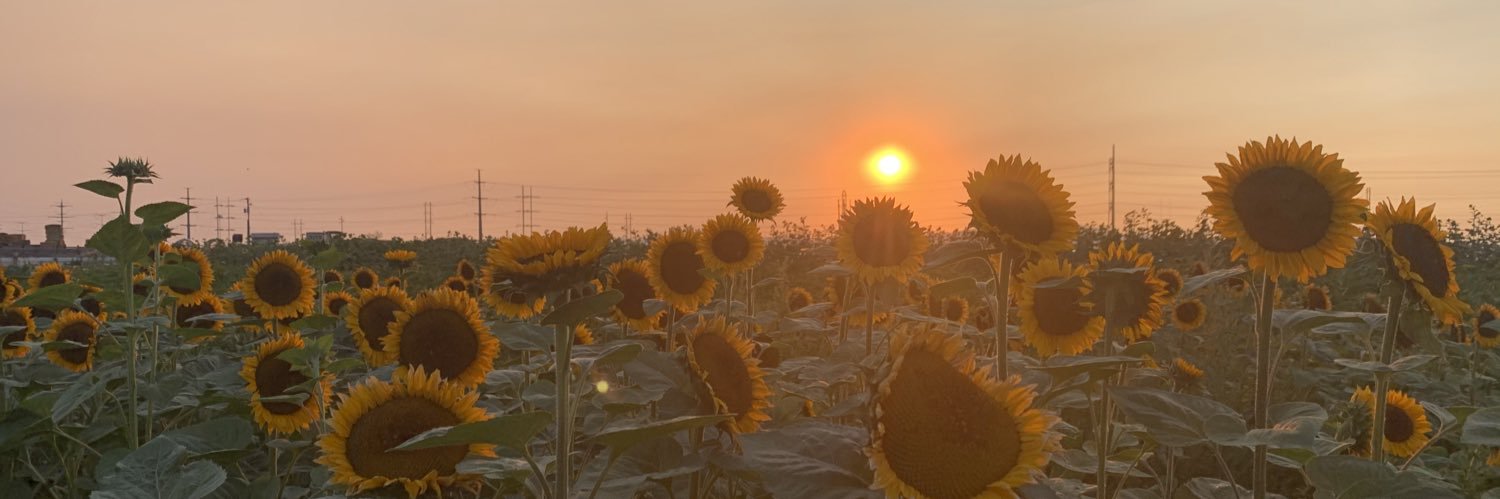 Khlo_Money's profile banner image