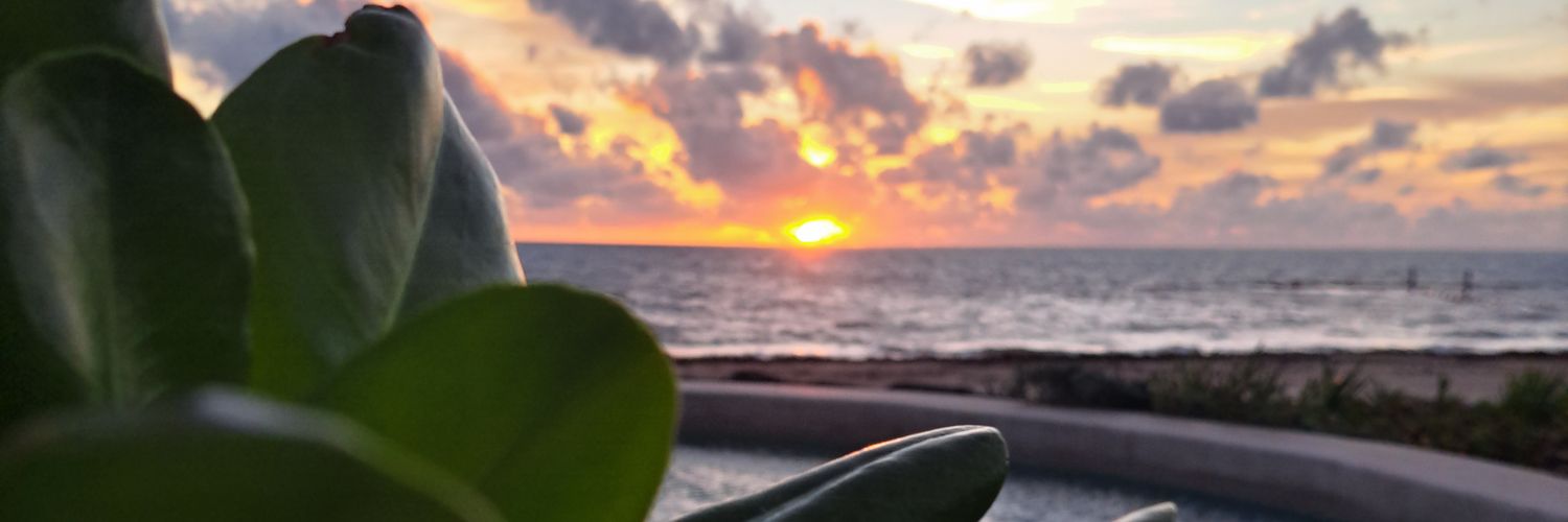sooperjule's profile banner image