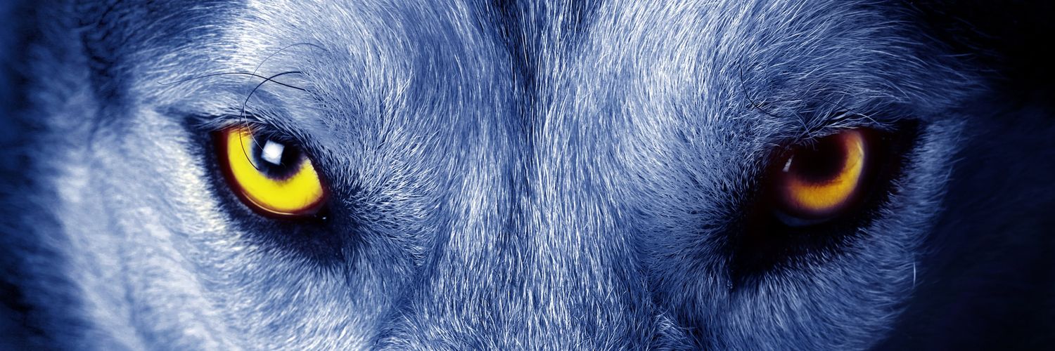 JMarcanoo's profile banner image