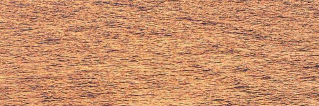 imakhtar14's profile banner image