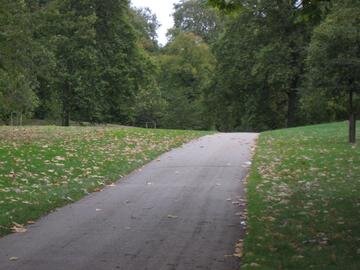 Fernando Villabella banner